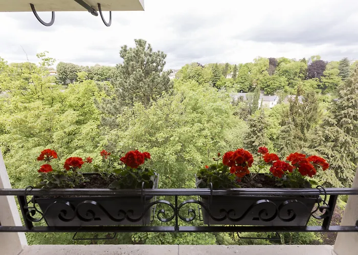 The Queen Luxury - Vinicia Luxemburgo