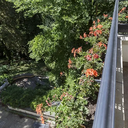 The Queen Luxury - Vinicia