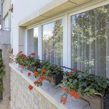 The Queen Luxury - Vinicia Apartment *