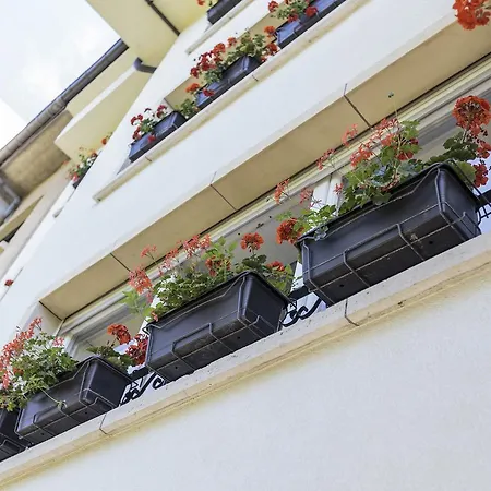 The Queen Luxury - Vinicia Luxembourg