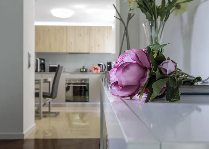 The Queen Luxury - Vinicia Luxemburgo