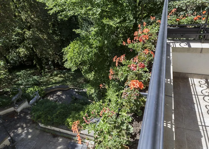 The Queen Luxury - Vinicia