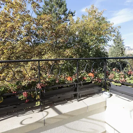 The Queen Luxury - Vinicia Luxembourg