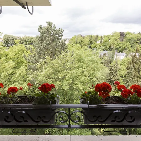 The Queen Luxury - Vinicia Luxembourg